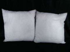 Lot Of 2 Square Cushion Filling, White, 15"