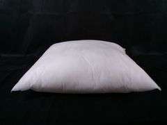 Lot Of 2 Square Cushion Filling, White, 15"