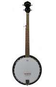 Left Handed R.W. Jameson Remo Weathering Banjo Head Only with Case