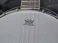 Left Handed R.W. Jameson Remo Weathering Banjo Head Only with Case