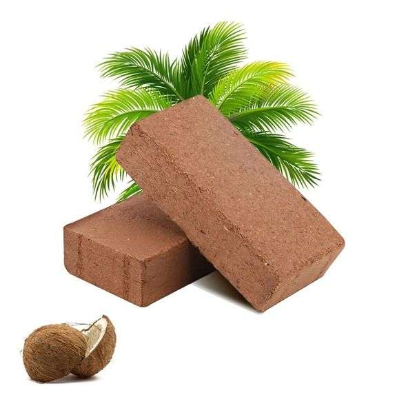 Imports Coco-Peat Rectangular Coconut Brick – 12 Pcs