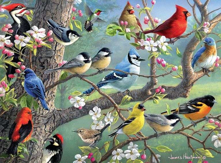 Buffalo Games Hautman Brothers Birds in an Orchard Jigsaw Puzzle – 1000 Pcs