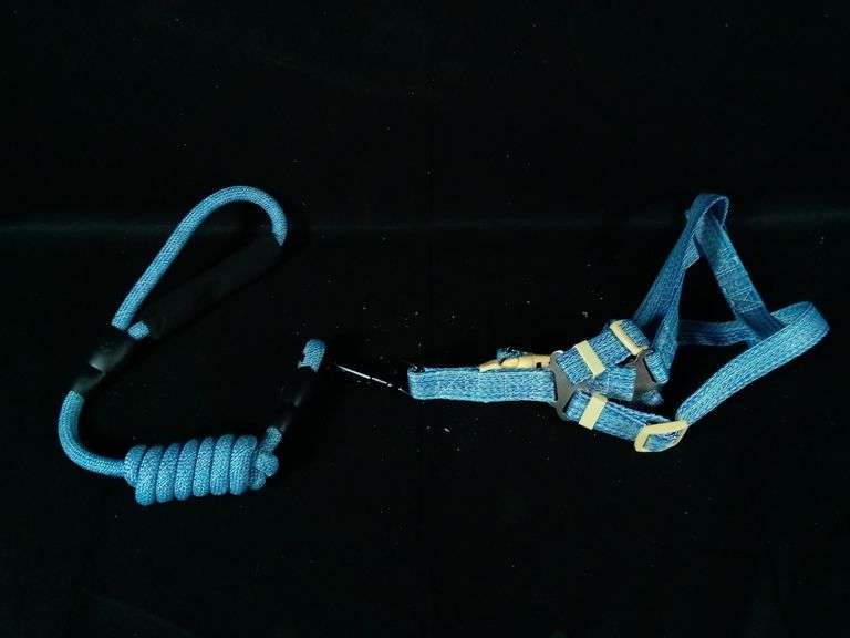 Pet Dog Harness & Leash Set – Blue Medium