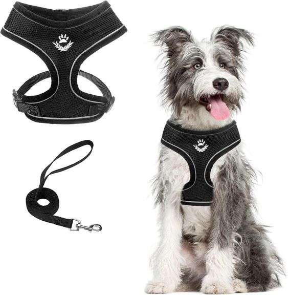 PUPTECK, Soft Mesh Dog Harness & Leash Set, No Pull, Black