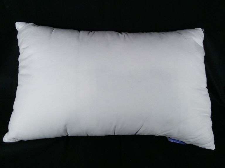 Science & Technology Sleep Bed Pillow with Black Piping – White 19" x 29"
