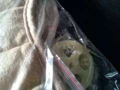 Beige Car Seat Pads