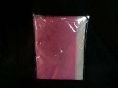 Flaglink Lesbian Pride Flag LGBT Rainbow Banner