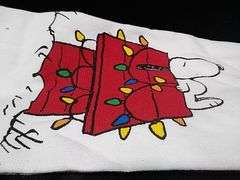 Best Brands Peanuts Kitchen Towels Set – 16" x 26" 2 Count