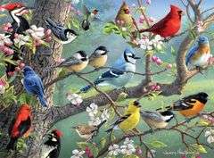 Buffalo Games Hautman Brothers Birds in an Orchard Jigsaw Puzzle – 1000 Pcs