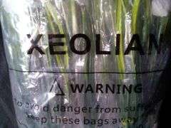 Xeolian, Artificial UV Resistant Faux Flowers Pack