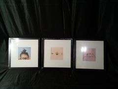 Assortment of 3 Gallery Wall Frames – 11" x 11"