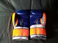 Vibes Lifestyle Multicolor Boxing Gloves – 16 oz 1-Pair