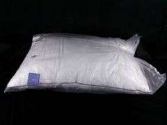 Science & Technology Sleep Bed Pillow with Black Piping – White 19" x 29"