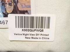 Venice Night View DIY Printed