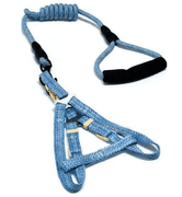 Pet Dog Harness & Leash Set – Blue Medium