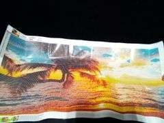 Sea Beach Coconut Tree Diamond Art Painting Kit – ZM78 40" x 80" A1723