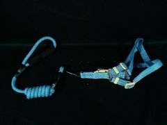Pet Dog Harness & Leash Set – Blue Medium