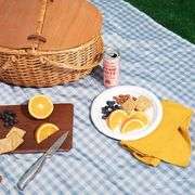 Miamica, Checkered Outdoor Blanket, 59.8" x 55"