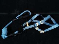 Pet Dog Harness & Leash Set – Blue Medium