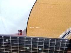 Learners Savant Acoustic Guitar – SA38NACH Educational Learning Trainer
