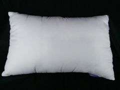 Science & Technology Sleep Bed Pillow with Black Piping – White 19" x 29"