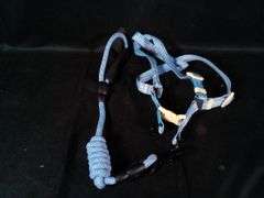 Pet Dog Harness & Leash Set – Blue Medium