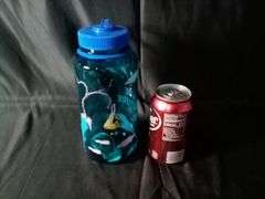 Parks Project X Dr. Seuss Escape To Nature Nalgene Water Bottle – Blue