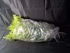 Lancaster Home + Vintage Floral Artificial Geneva Fern Bush – Green CY3021