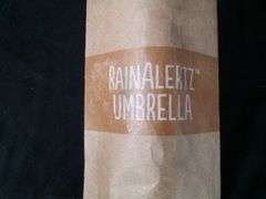 RainAlertz, Norton Saint Gobain Umbrella, Approx. 35" long