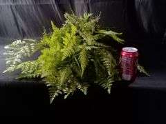 Lancaster Home + Vintage Floral Artificial Geneva Fern Bush – Green CY3021