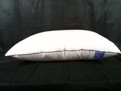 Science & Technology Sleep Bed Pillow with Black Piping – White 19" x 29"