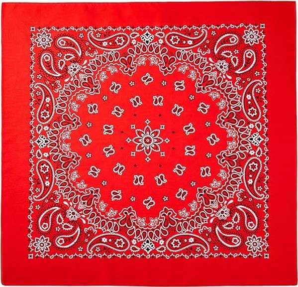 Set of 12 Bandanas, Red, Paisley, 22"x22", 100% Cotton (4 packs of 3 bandanas)